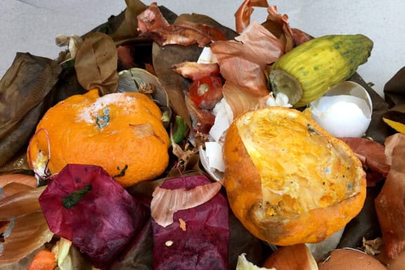 Frischer Biomüll mit Apfelsinenschalen in einer Biotonne – Symbolbild für saubere Mülltrennung